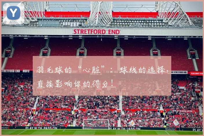 羽毛球的“心脏”：球线的选择，直接影响你的得分！